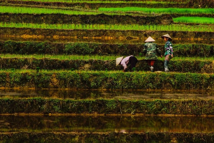 Vietnam through Turkish lenses - 4