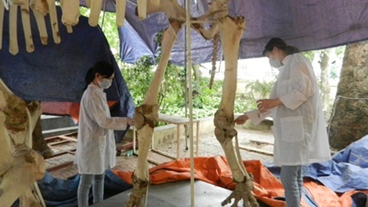 Nature Museum adds new exhibition hall - 1