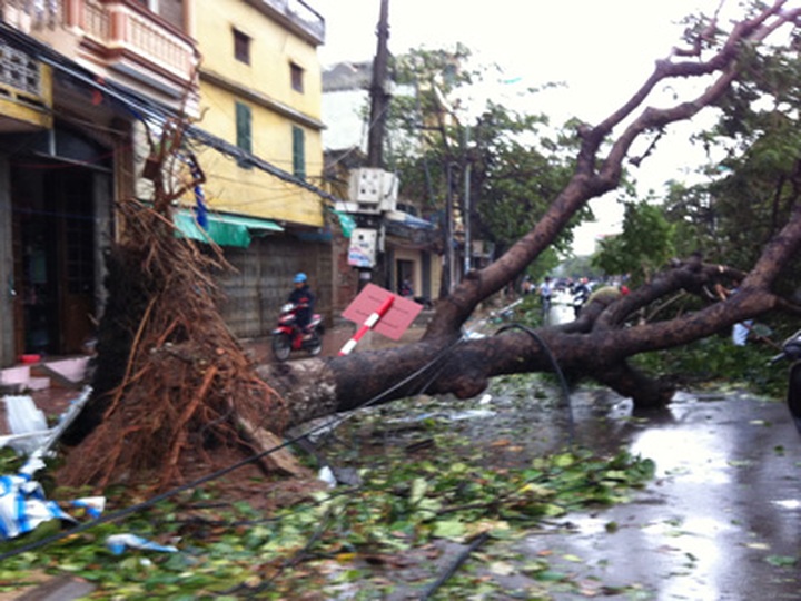 Vietnam set to experience freak summer weather - 1 Vietnam set to experience freak summer weather - 1