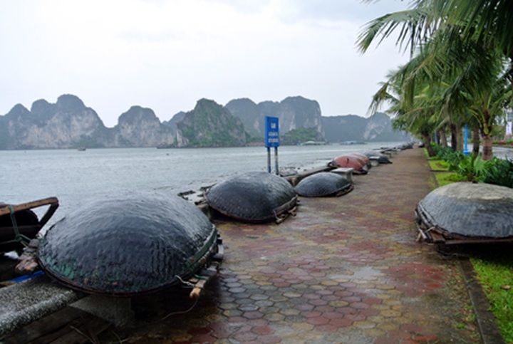 Typhoon Kalmaegi hits northern coastal areas - 3