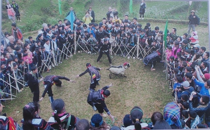 Photos featuring Vietnam’s heritage to be exhibited nationwide - 1