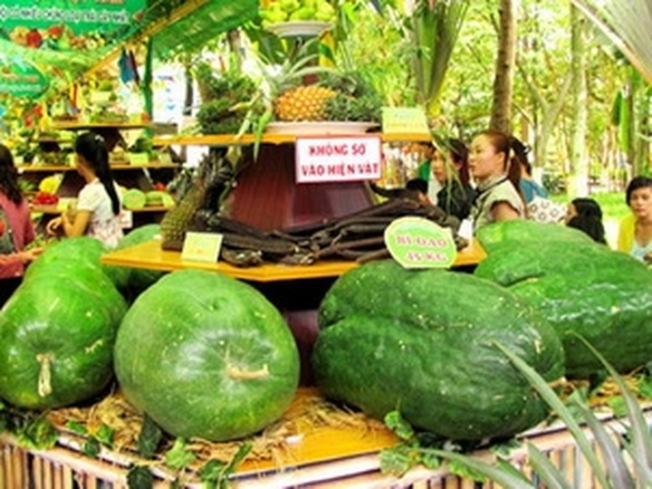 HCM City to host Southern Cuisine, Fruit Festivals - 1
