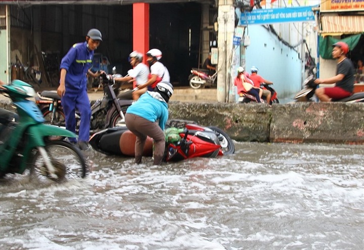 High tides submerge HCM City streets - 1