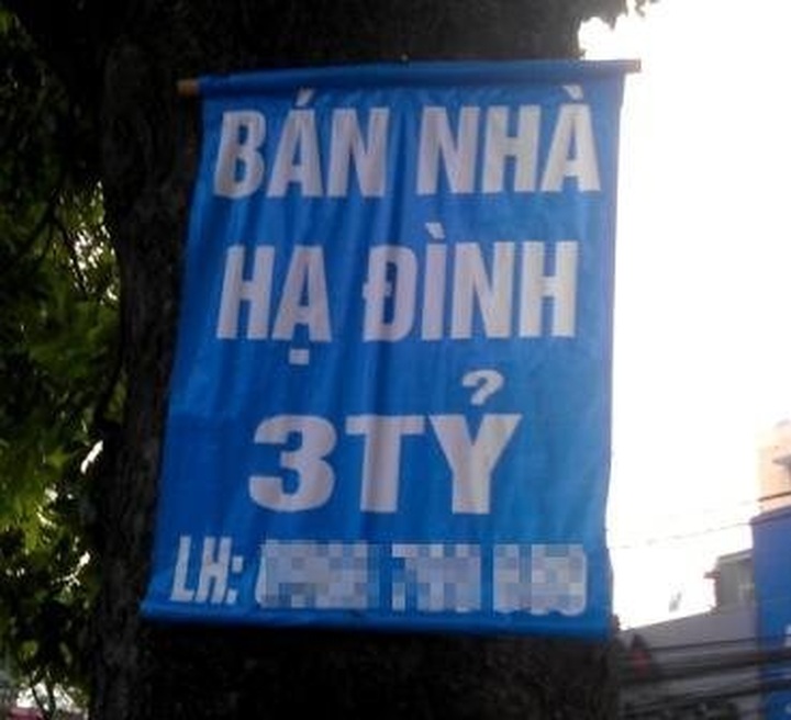 Housing adverts plaster capital - 2