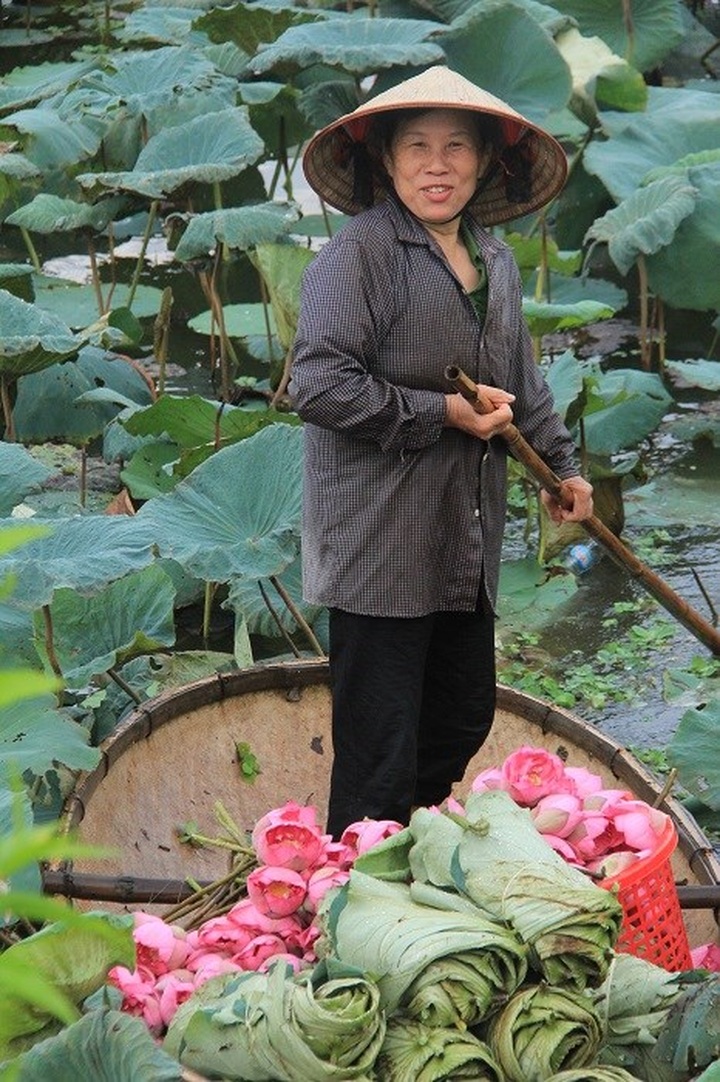 Hanoi’s lotus tea-making art - 8