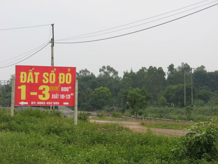 Land promotions for buying lands in Ba Vi District - 1