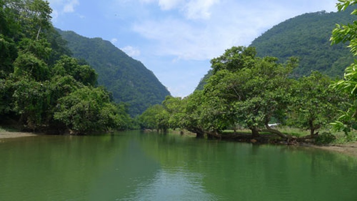 Germany funds Vietnamese biodiversity preservation - 1