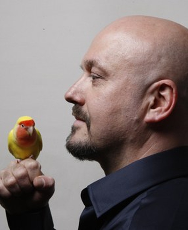 What's on February 2013 (daily updated) - 2