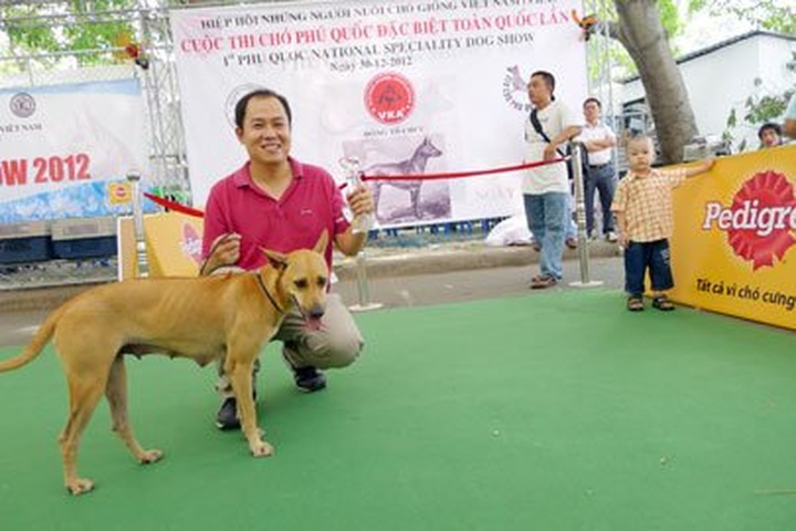 Looking for development of the Phu Quoc dog breed - 1