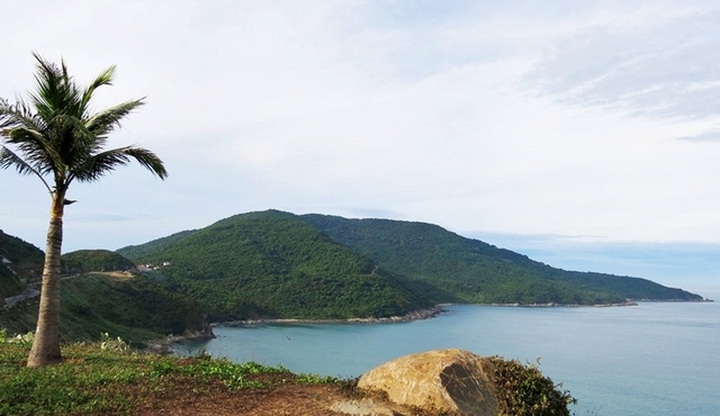 Son Tra Peninsula to become national tourism area - 1