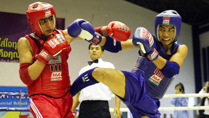 Vietnamese muay team wins 3 golds in Asian champs - 1