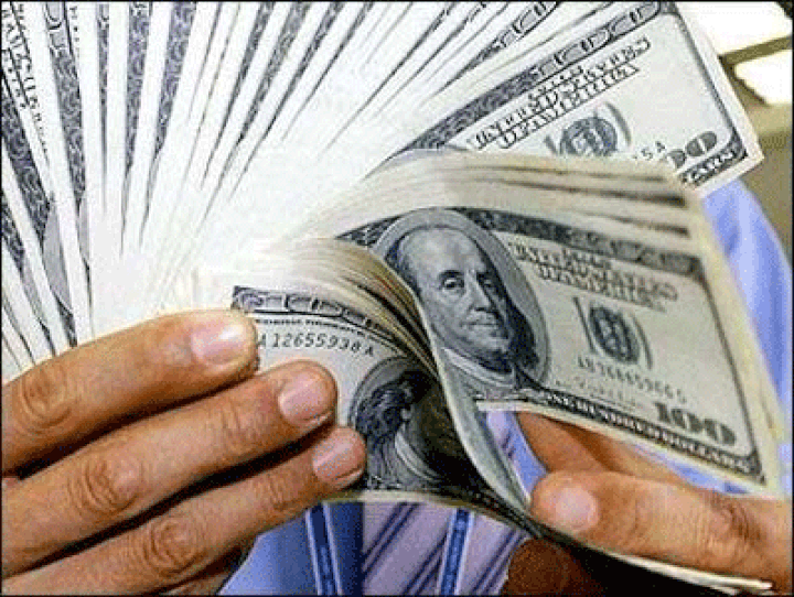 Firms scramble to borrow loans in dollars - 1