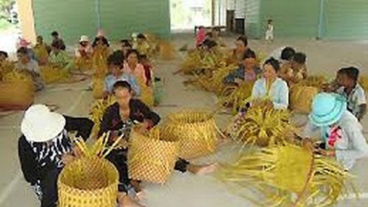 Millions of rural workers offered vocational training - 1