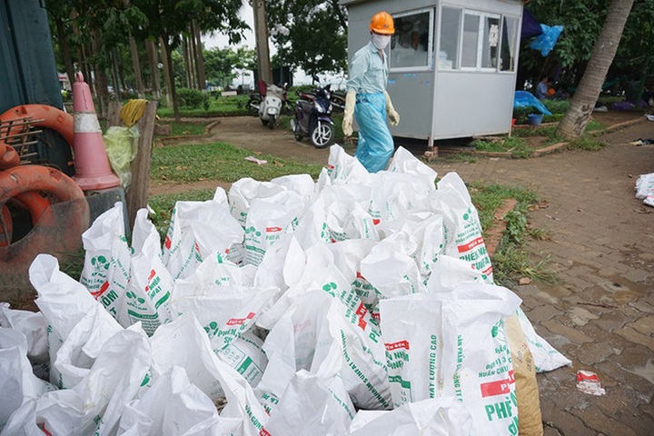 Mass fish deaths in Hanoi's West Lake - 6