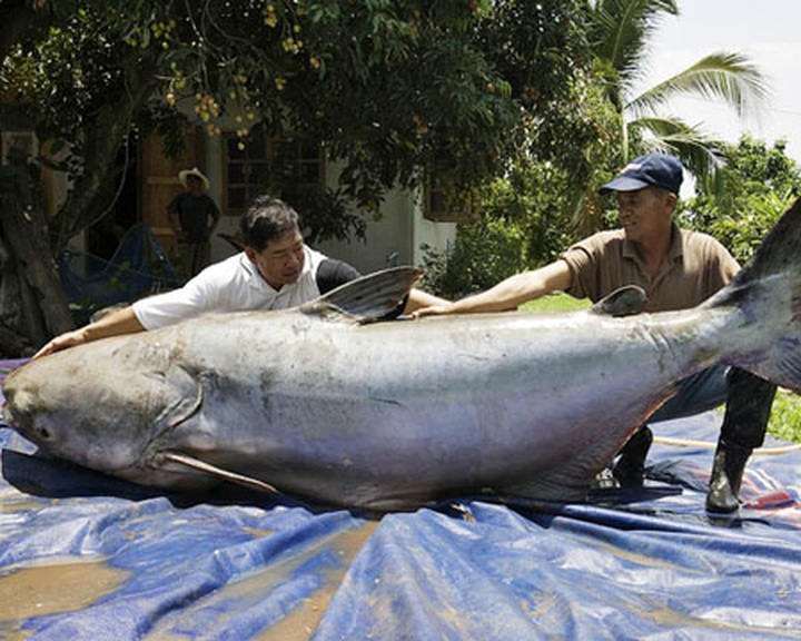 Vietnam convenes with neighbours on dam project in Laos - 1 Vietnam convenes with neighbours on dam project in Laos - 1