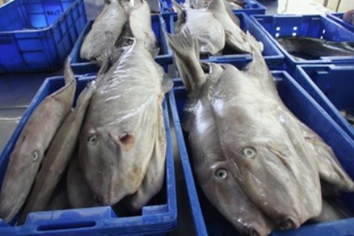 PPPs foster sustainable agricultural growth in Vietnam - 1 PPPs foster sustainable agricultural growth in Vietnam - 1