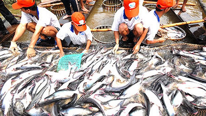 Exports down 11.5% in January - 1