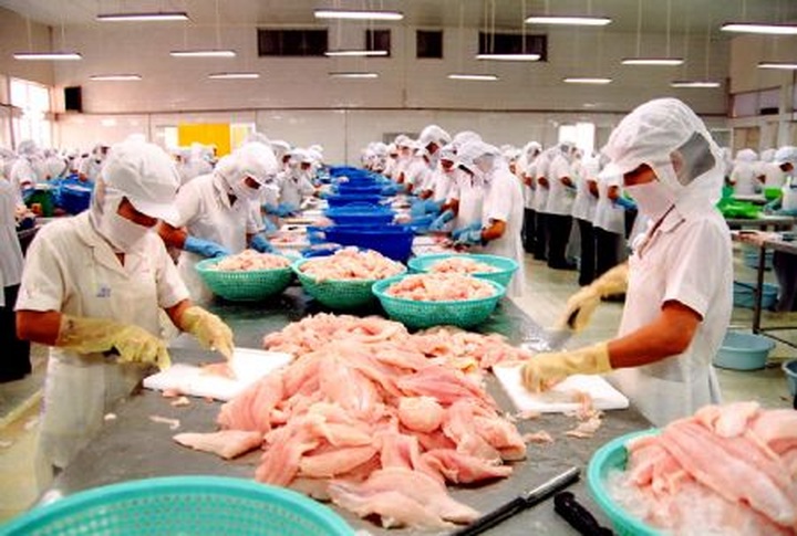 NEWS BRIEF & COMMENT: Can the TPP help Vietnam win the catfish war? - 1