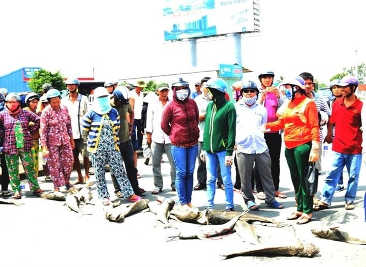 Authorities investigate fish death amidst protest - 1 Authorities investigate fish death amidst protest - 1