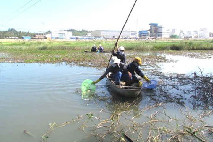 Farmers demand compensation for pollution coming from Dung Quat - 1