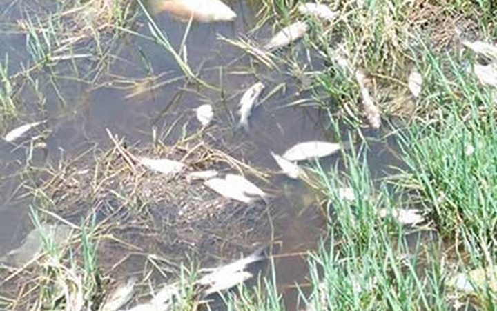 Environmental inspections intensified - 1 Environmental inspections intensified - 1