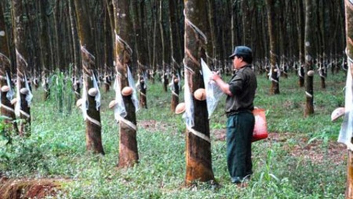 Vietnam among Cambodia’s top five investors - 1