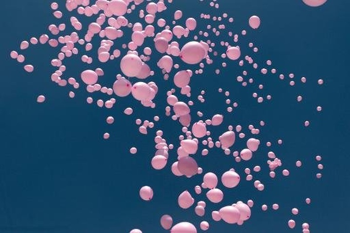 Surprises in hunt for environmental links to breast cancer - 1