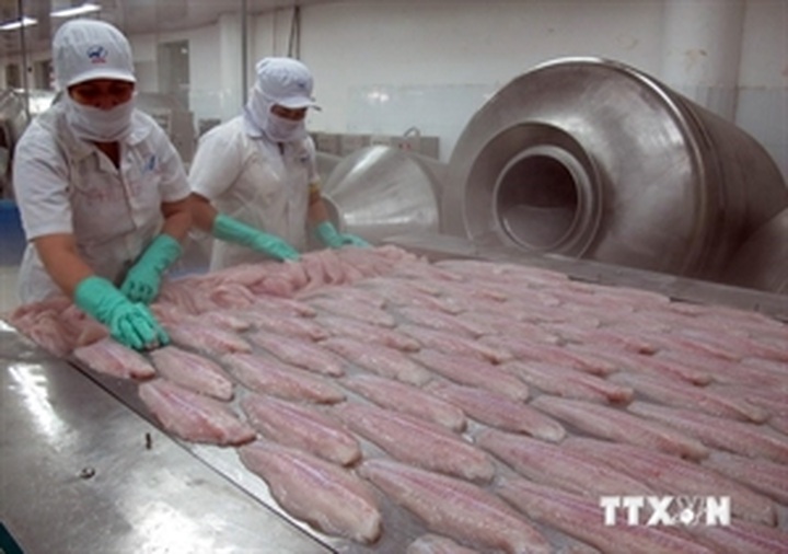 US continues anti-dumping tariffs on Vietnam’s pangasius - 1