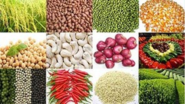 Farm exports generate US$9.13 billion in revenue - 1