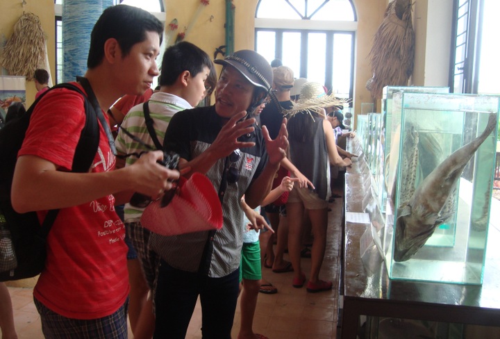 A day on Cham Island - 1