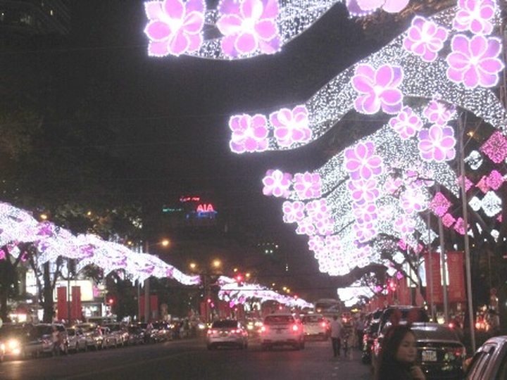 HCM City shines bright to welcome New Year - 7