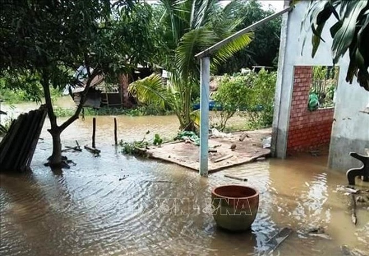 Bến Tre gets $6.3m from Govt to fight landslides - 1