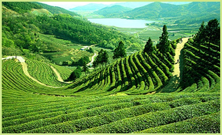 Eight specialties set Asian record - 2