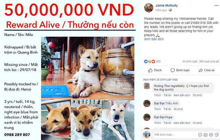 American woman promises big rewards to find missing dog - 1