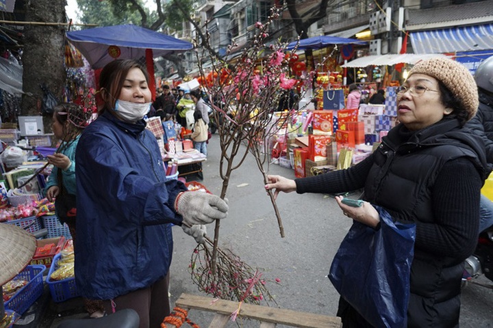 Flowers colour Hanoi's streets as Tet nears - 4