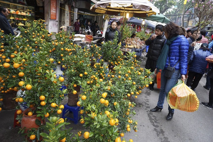 Flowers colour Hanoi's streets as Tet nears - 6