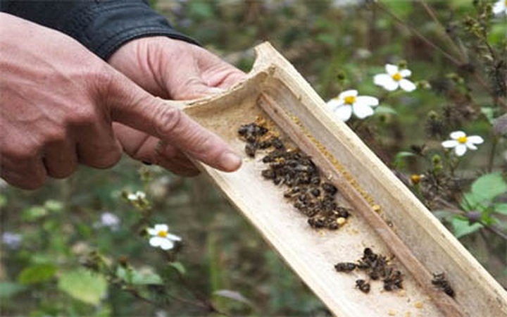 Man accuses pesticide company of polluting - 3