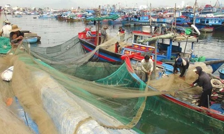 Coastal provinces brace as Storm Hagupit approaches - 1