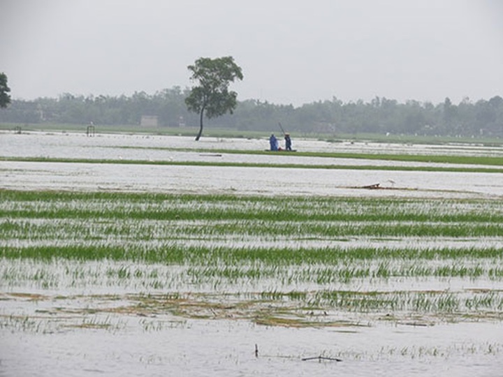 Hydropower plant blamed for flooding crops - 1