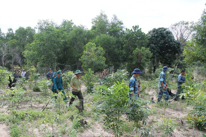 Numerous land violations found on Phu Quoc Island - 1