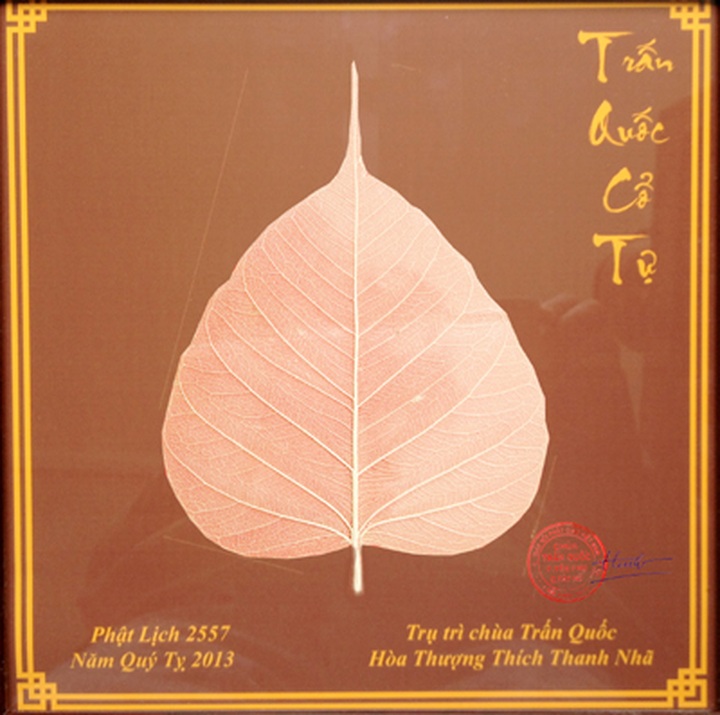 Bodhi tree a symbol of friendship between Vietnam and India - 2