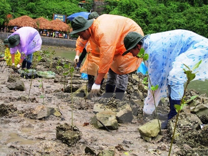 UNHRC passes climate change resolution co-created by Vietnam - 1