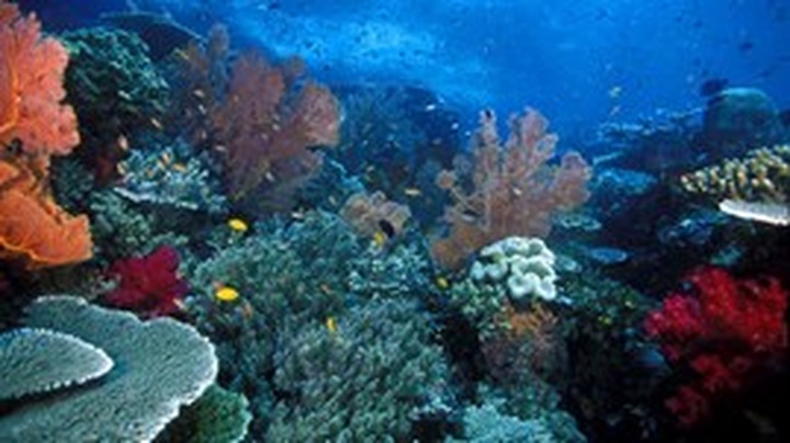 USAID biodiversity policy prioritizes Vietnam - 1