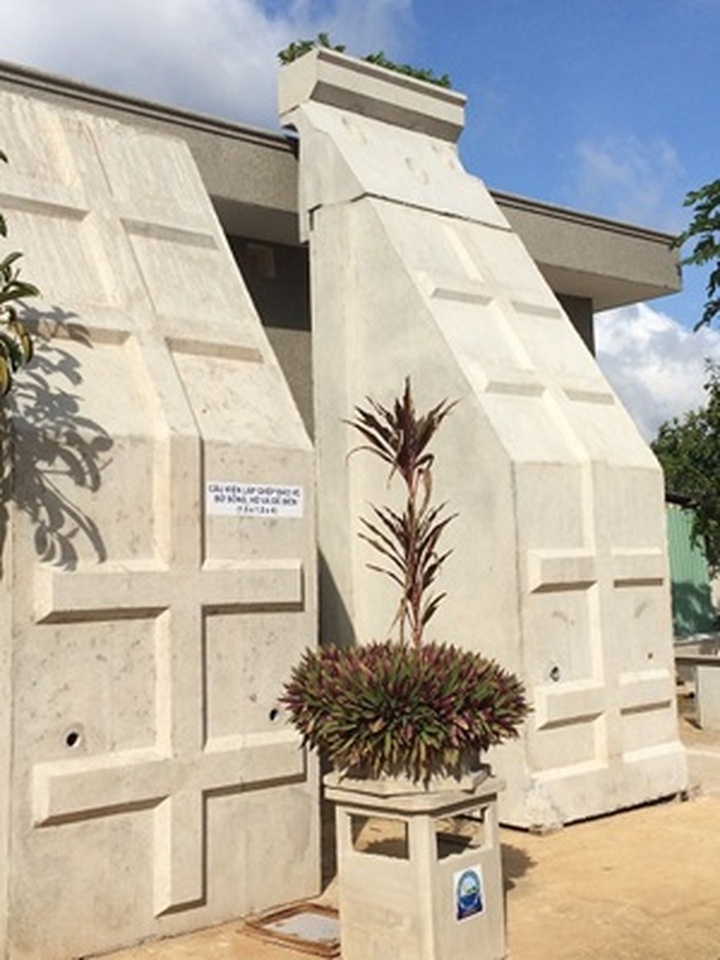 Vietnamese company develops hi-tech to protect rivers, sea dykes - 1