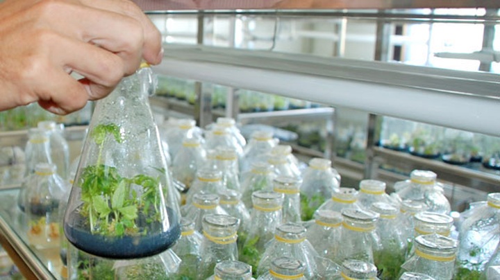 Japan to introduce hi-tech agriculture in Vietnam - 1 Japan to introduce hi-tech agriculture in Vietnam - 1