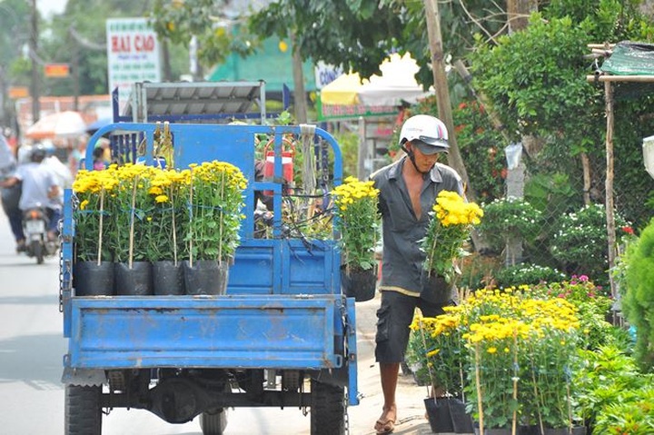 Sa Dec flower village busy preparing for Tet - 6