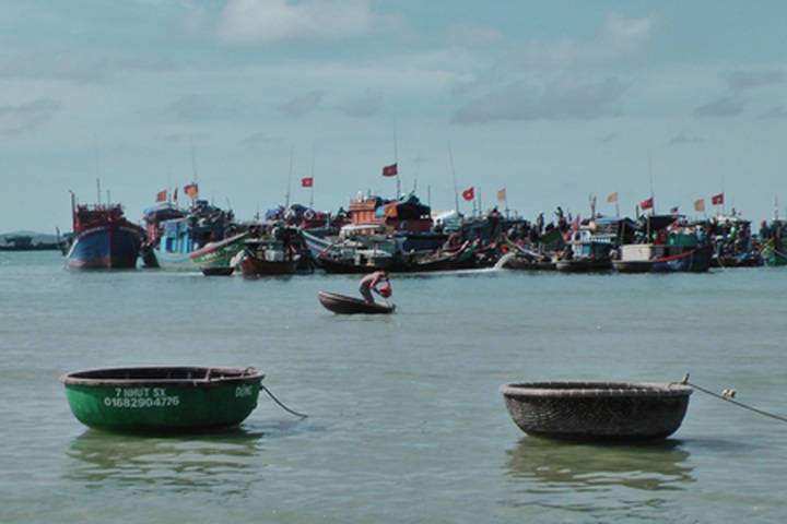 Sunk ship draws Quang Ngai to antique hunt - 2