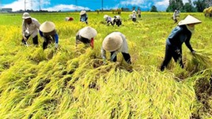 WB helps improve low-income earners’ living conditions - 1