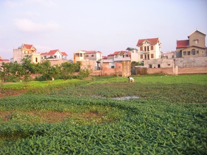 Official urges restraint in government land-withdrawal - 1