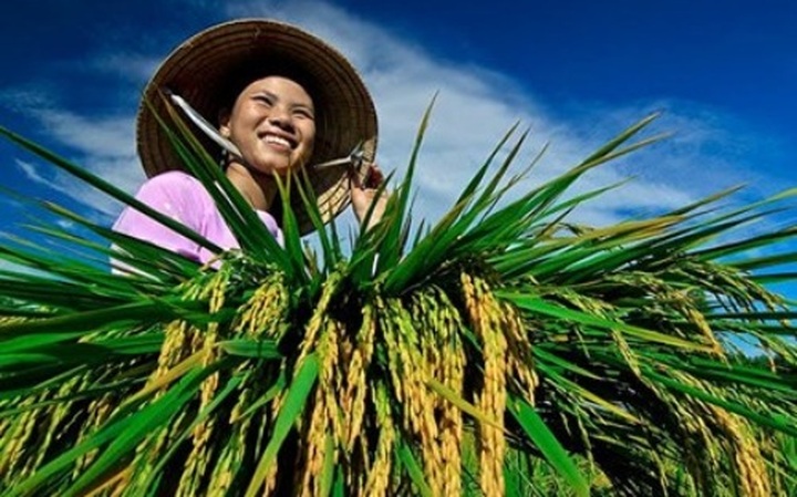 10M agro-forestry-fishery exports up 8.1% y-o-y - 1 10M agro-forestry-fishery exports up 8.1% y-o-y - 1